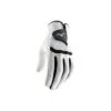 Mizuno Comp Men's Glove 2021 -Golf Equipment Store Comp Glove g